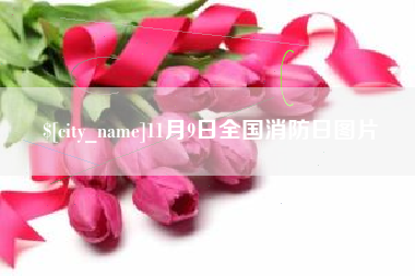 无为11月9日全国消防日图片