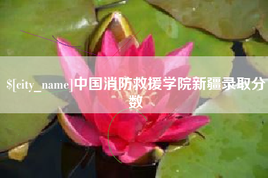 无为中国消防救援学院新疆录取分数