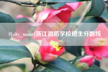 无为浙江消防学校招生分数线