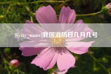 无为我国消防日几月几号
