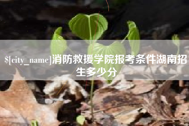 无为消防救援学院报考条件湖南招生多少分
