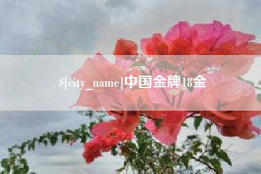 无为中国金牌18金
