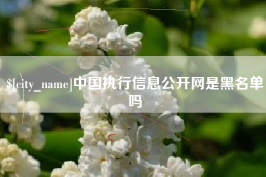 无为中国执行信息公开网是黑名单吗