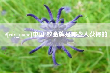 无为中国6枚金牌是哪些人获得的