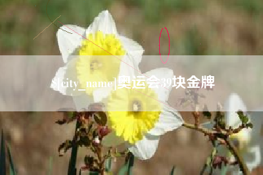 无为奥运会39块金牌