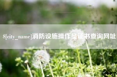 无为消防设施操作员证书查询网址