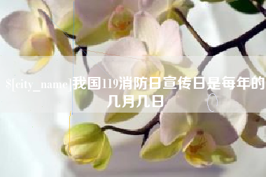 无为我国119消防日宣传日是每年的几月几日