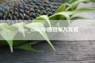 无为中国冠军九宫格