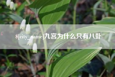 无为九宫为什么只有八卦