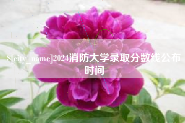 无为2024消防大学录取分数线公布时间