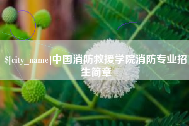 无为中国消防救援学院消防专业招生简章