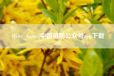 无为中国消防公众号app下载