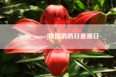 无为我国消防日是哪日