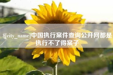 无为中国执行案件查询公开网都是执行不了得案子