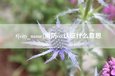 无为消防ccc认证什么意思