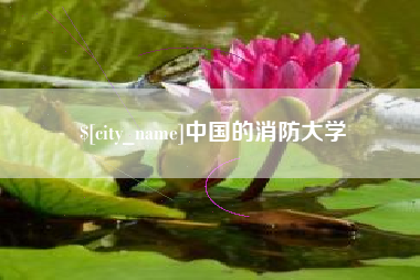 无为中国的消防大学