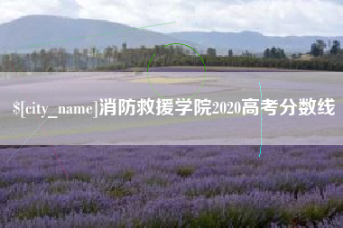 无为消防救援学院2020高考分数线