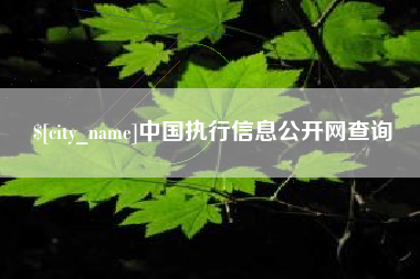 无为中国执行信息公开网查询