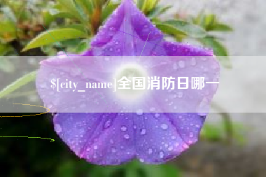 无为全国消防日哪一