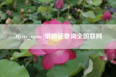 无为消防证查询全国联网