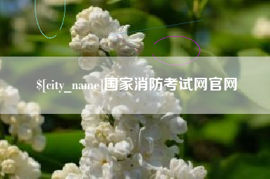 无为国家消防考试网官网