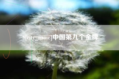 无为中国第九个金牌