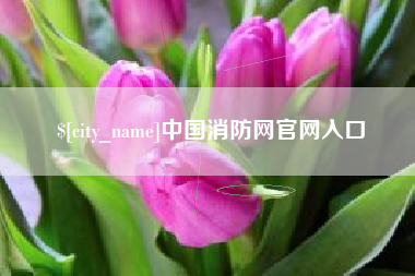 无为中国消防网官网入口