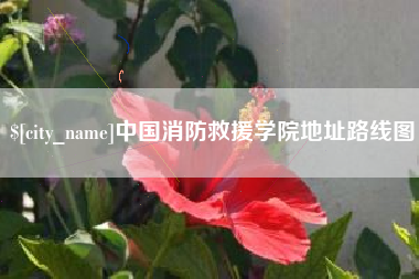 无为中国消防救援学院地址路线图