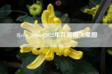 无为2022年九宫格飞星图