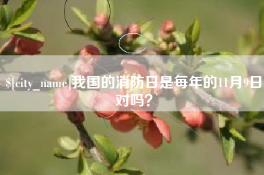 无为我国的消防日是每年的11月9日对吗？