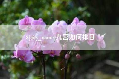 无为九宫如何排日