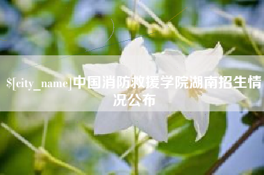 无为中国消防救援学院湖南招生情况公布