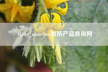 无为ccc消防产品查询网