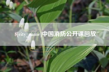 无为中国消防公开课回放