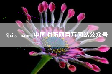 无为中国消防网官方网站公众号