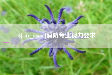 无为消防专业视力要求