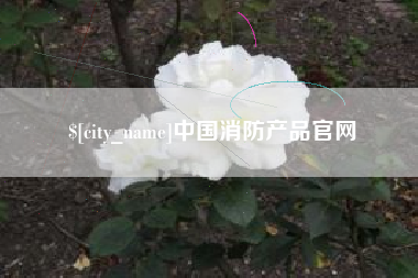 无为中国消防产品官网