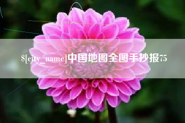 无为中国地图全图手抄报75