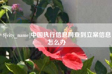 无为中国执行信息网查到立案信息怎么办
