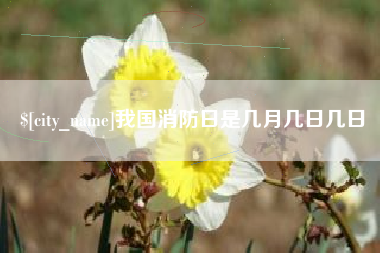 无为我国消防日是几月几日几日