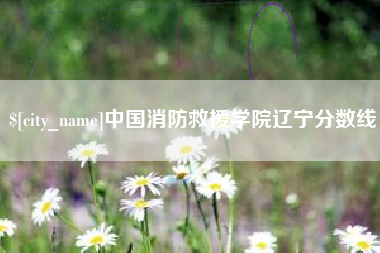 无为中国消防救援学院辽宁分数线