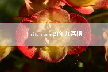 无为21年九宫格