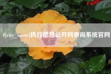 无为执行信息公开网查询系统官网
