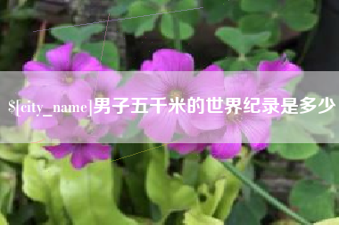 无为男子五千米的世界纪录是多少