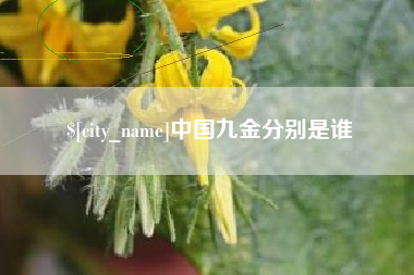 无为中国九金分别是谁