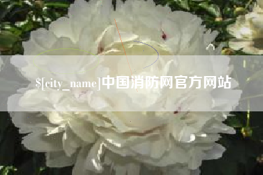 无为中国消防网官方网站