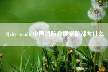 无为中国消防救援学院都考什么