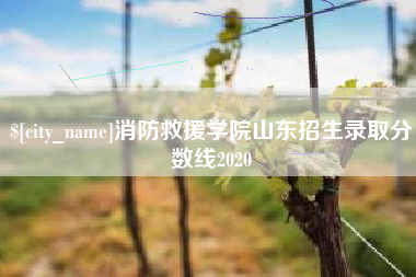 无为消防救援学院山东招生录取分数线2020