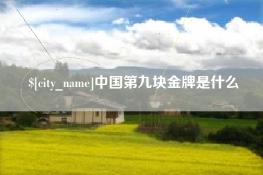 无为中国第九块金牌是什么