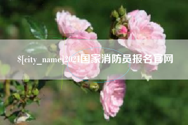 无为2021国家消防员报名官网